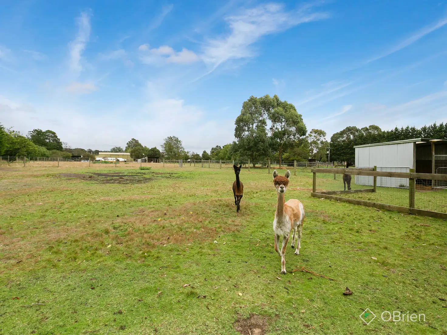 Main view of Homely house listing, 158 Jones Road, Somerville VIC 3912