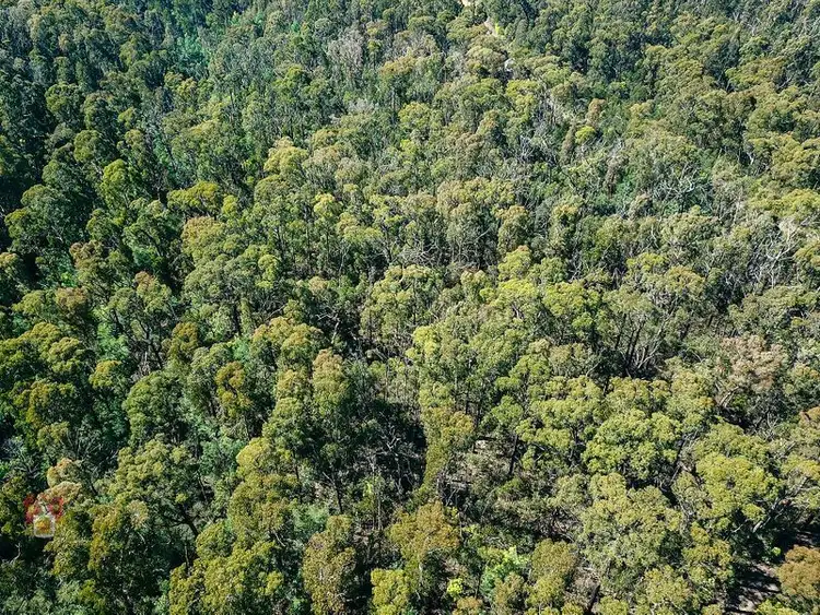 Third view of Homely land listing, 78 Johanssen Road, Kinglake VIC 3763