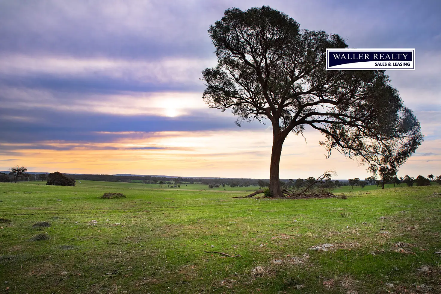 Main view of Homely land listing, LOT 11 Patons Road, Axe Creek VIC 3551