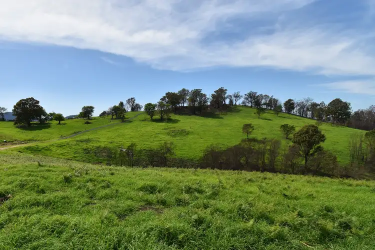 Second view of Homely rural property listing, 43 County Boundary Road, Cobargo NSW 2550
