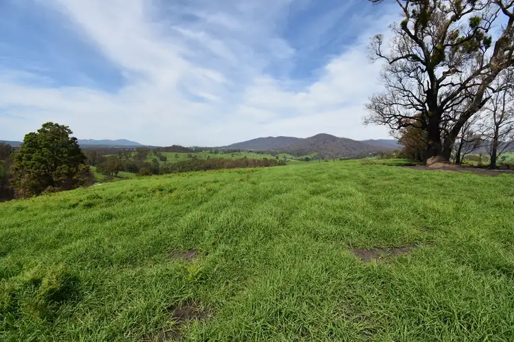 Third view of Homely rural property listing, 43 County Boundary Road, Cobargo NSW 2550