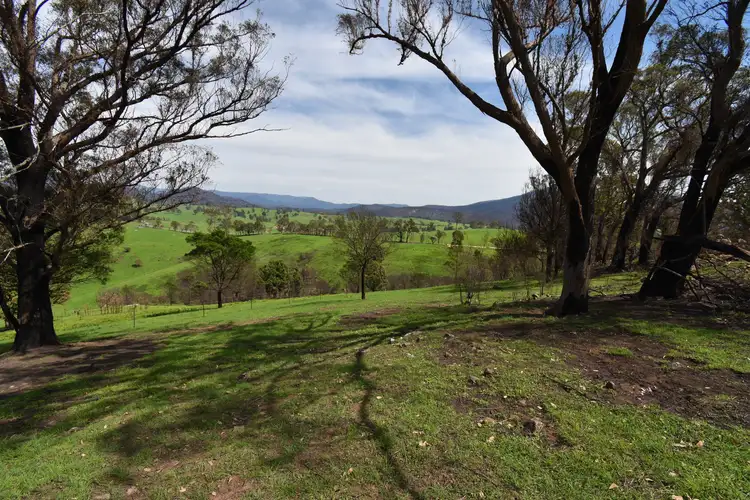 Fourth view of Homely rural property listing, 43 County Boundary Road, Cobargo NSW 2550