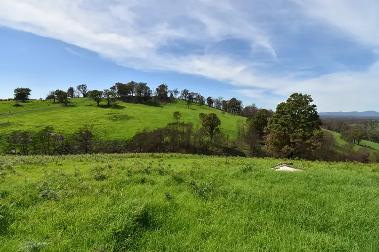 Sixth view of Homely rural property listing, 43 County Boundary Road, Cobargo NSW 2550