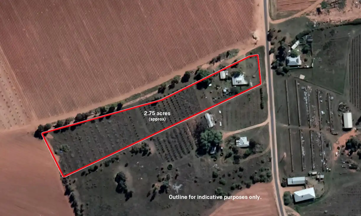 Main view of Homely rural property listing, 60 Scout Hall Road, Red Cliffs VIC 3496