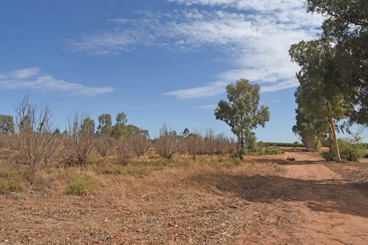 Second view of Homely rural property listing, 60 Scout Hall Road, Red Cliffs VIC 3496