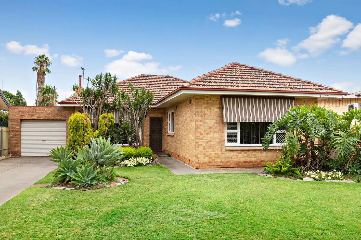 Main view of Homely house listing, 6 Ferris Street, Renown Park SA 5008