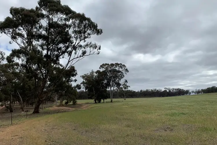 Sixth view of Homely rural property listing, 65 Queripels Road, Bealiba VIC 3475