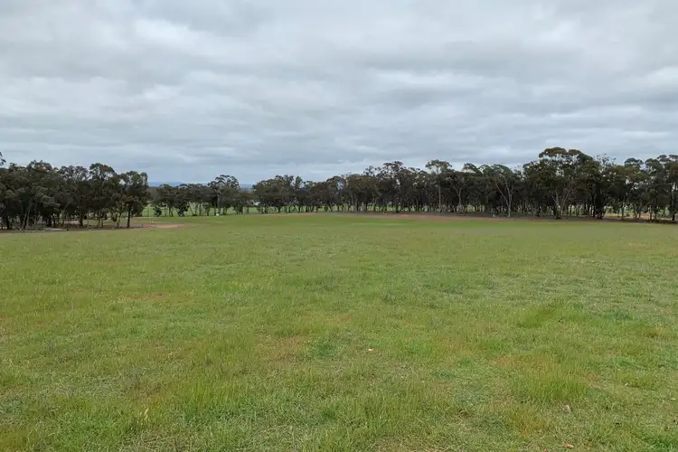 Seventh view of Homely rural property listing, 65 Queripels Road, Bealiba VIC 3475