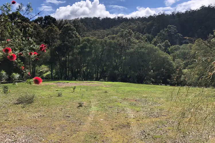 LOT 113 Wellington Mill Road, Wellington Mill WA 6236