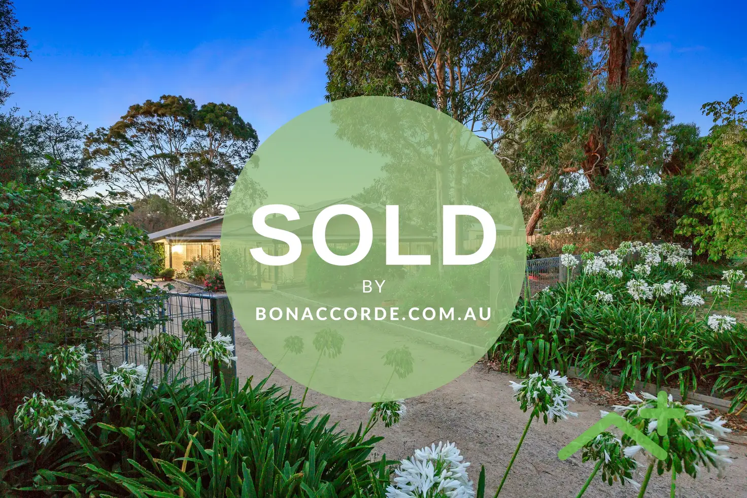 Main view of Homely house listing, 3 Hooper Grove, Mount Martha VIC 3934