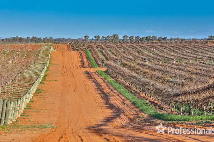 Third view of Homely rural property listing, Lot 1 Pooncarie Road, Wentworth NSW 2648