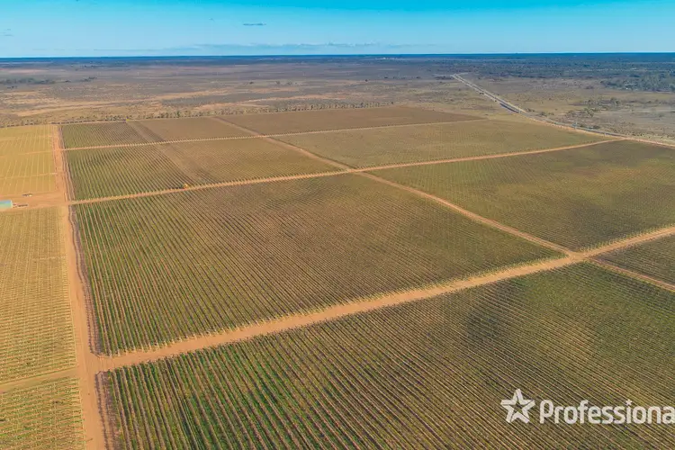 Fourth view of Homely rural property listing, Lot 1 Pooncarie Road, Wentworth NSW 2648
