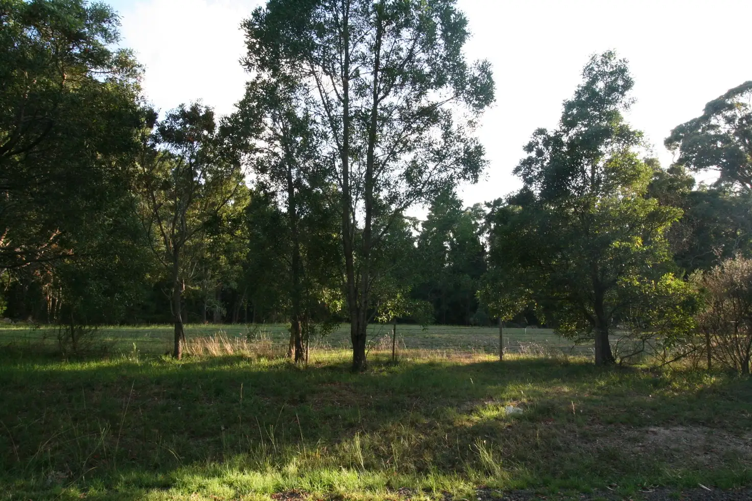 Main view of Homely land listing, LOT 3 Fraser Street, Linton VIC 3360