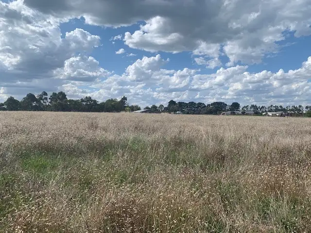 LOT 150 Elsie May Drive, Compton SA 5291