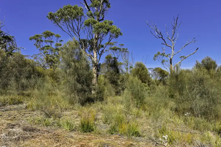 Third view of Homely land listing, 615 White Beach Road, White Beach TAS 7184