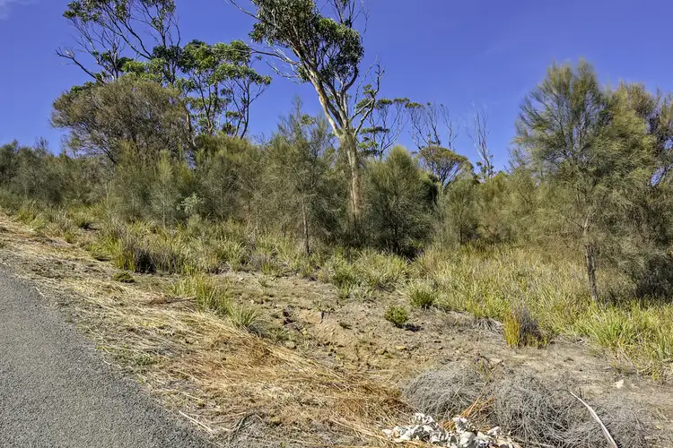 Fifth view of Homely land listing, 615 White Beach Road, White Beach TAS 7184