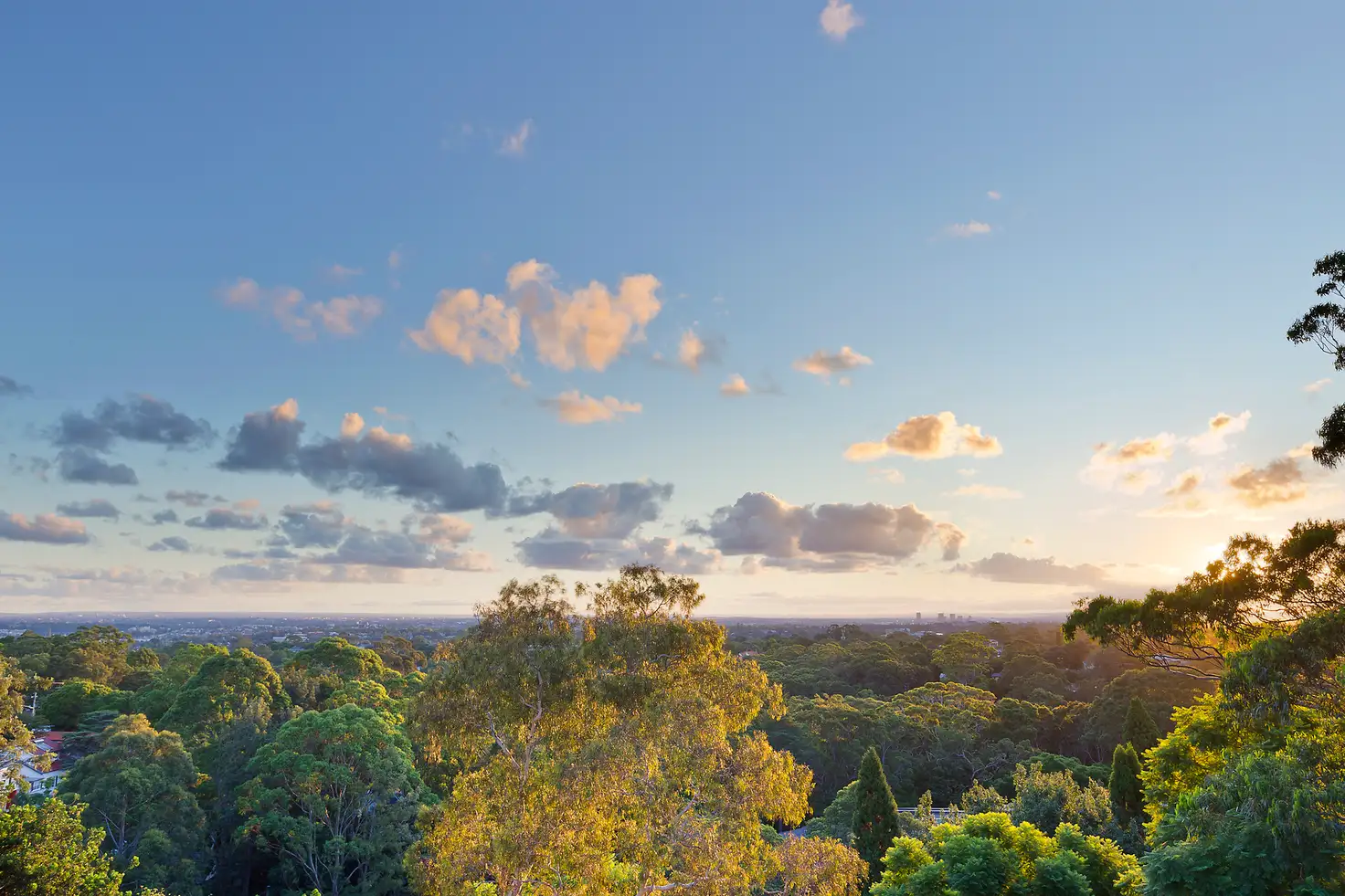Main view of Homely apartment listing, 12/252-254 Pacific Highway, Greenwich NSW 2065