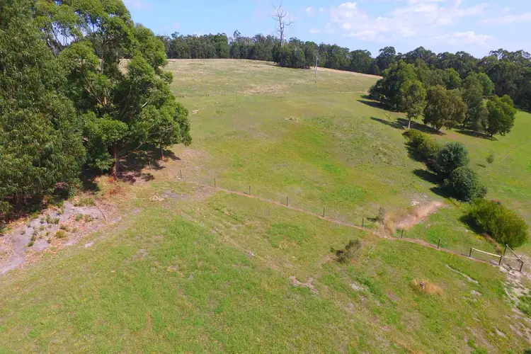 Seventh view of Homely rural property listing, 260 Old Callignee Road, Callignee VIC 3844