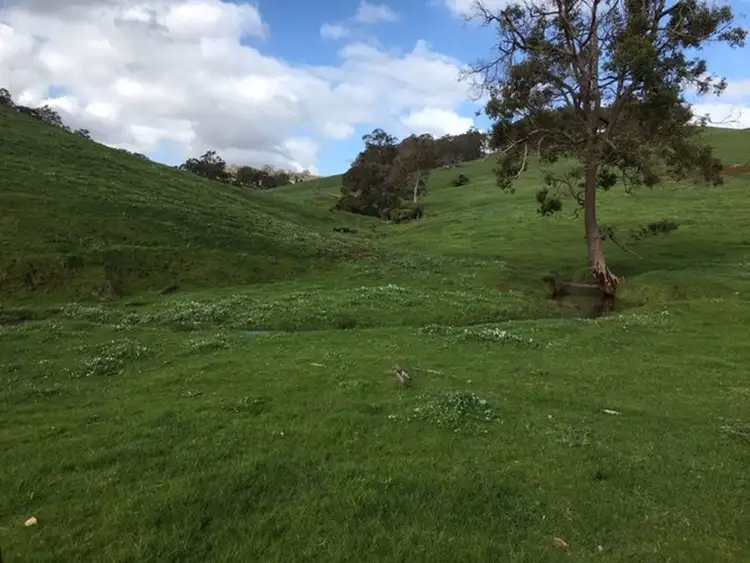 Fourth view of Homely rural property listing, 903 Kirkpatrick Road, Upper Capel WA 6239