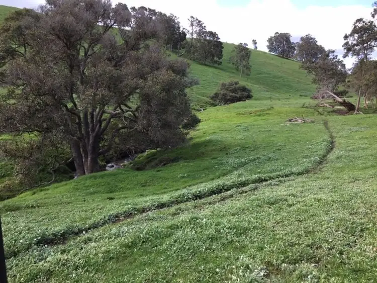 Fifth view of Homely rural property listing, 903 Kirkpatrick Road, Upper Capel WA 6239