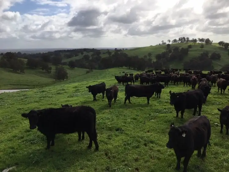 Sixth view of Homely rural property listing, 903 Kirkpatrick Road, Upper Capel WA 6239