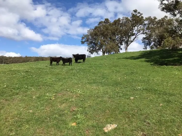 Seventh view of Homely rural property listing, 903 Kirkpatrick Road, Upper Capel WA 6239