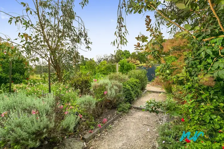 Second view of Homely house listing, 6 Janvrin Road, St Leonards VIC 3223