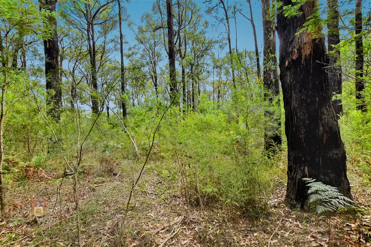 Third view of Homely land listing, 113 Castella Road, Castella VIC 3777