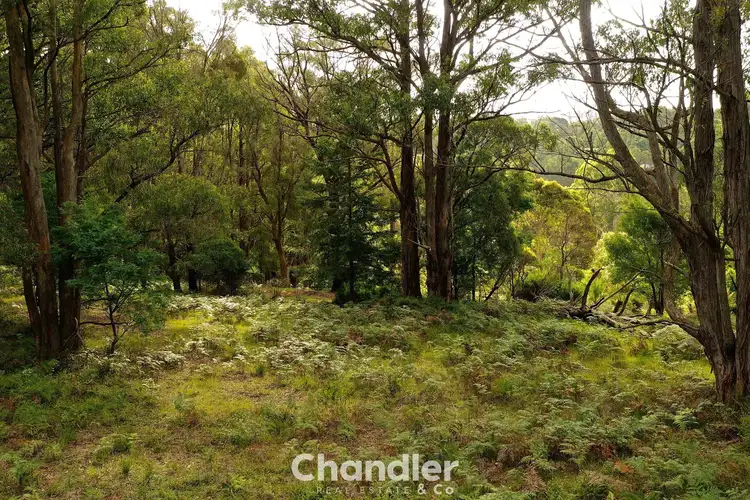 Fourth view of Homely land listing, 82 Beaconsfield Emerald Road, Emerald VIC 3782