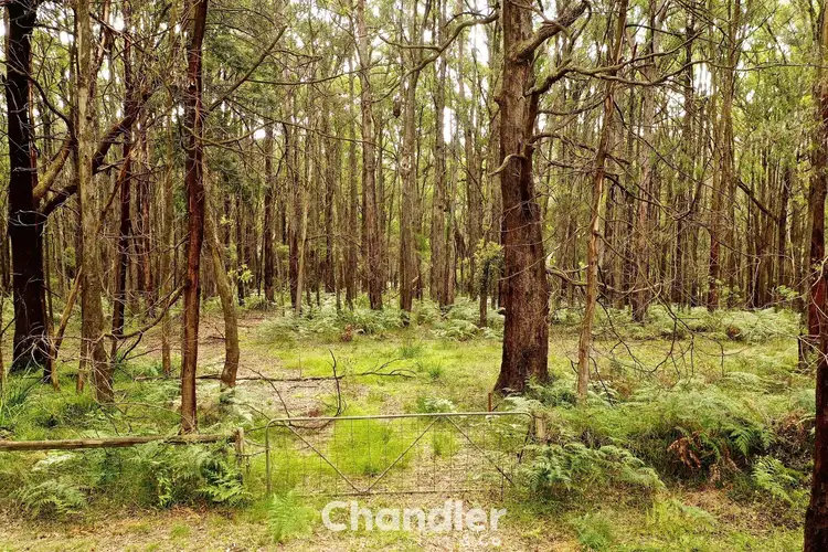 Fifth view of Homely land listing, 82 Beaconsfield Emerald Road, Emerald VIC 3782