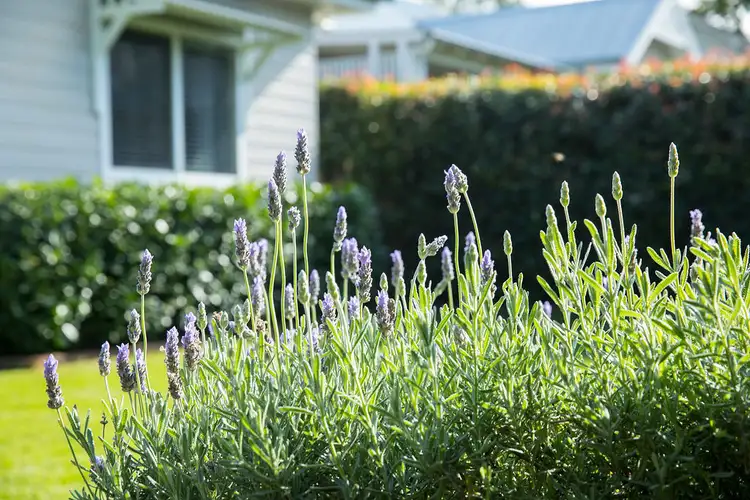 Fourth view of Homely house listing, 23 Warenda Street, Bowral NSW 2576