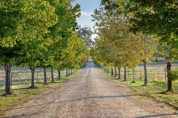 Fifth view of Homely house listing, 333 Whytes Road, Baranduda VIC 3691