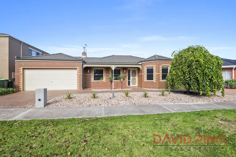 Main view of Homely house listing, 13 Tussock Grove, Cairnlea VIC 3023