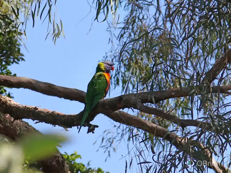 Sixth view of Homely house listing, 45 Andrew Street, Oakleigh VIC 3166