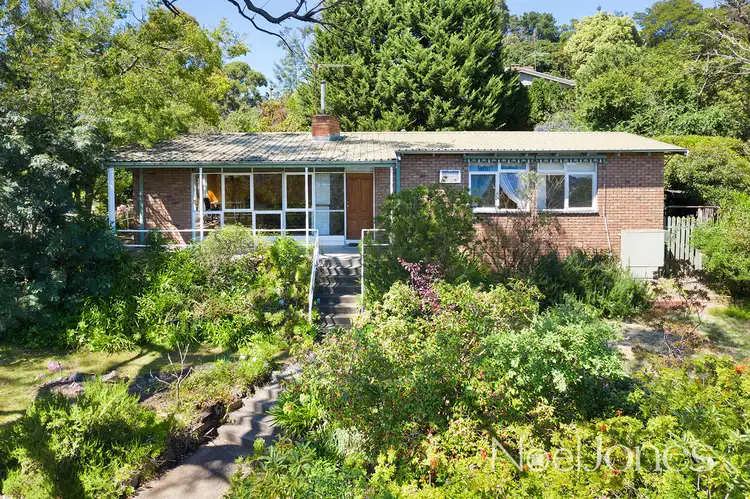38 Velma Grove, Ringwood East VIC 3135