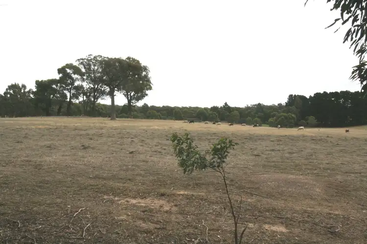 LOT 3, 86 Stockyard Hill Road, Beaufort VIC 3373