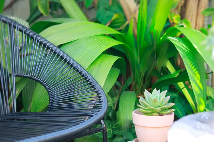 Fifth view of Homely house listing, 32 Liverpool Road, Summer Hill NSW 2130