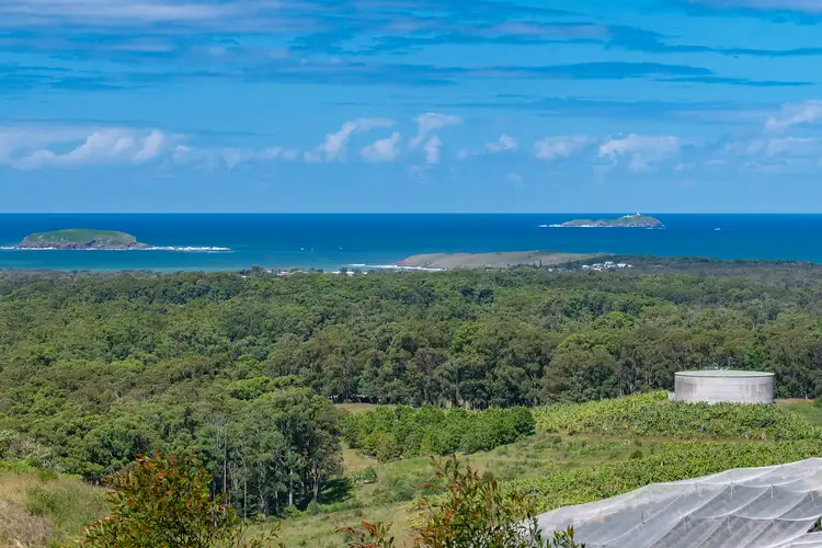 Main view of Homely land listing, 261 Morgans Road, Sandy Beach NSW 2456