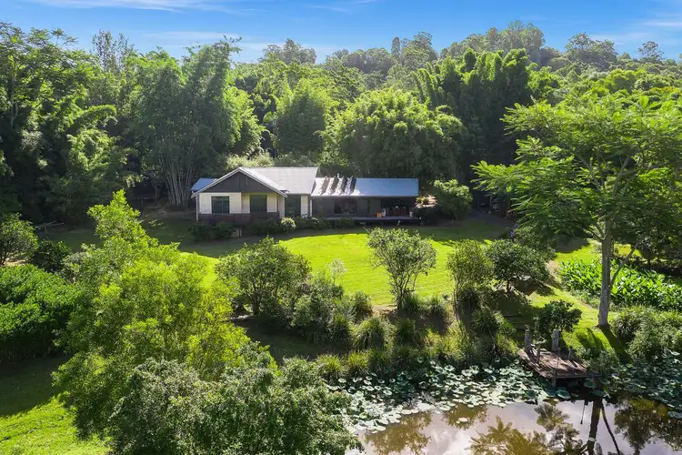 453 Tuntable Creek Road, Tuntable Creek NSW 2480
