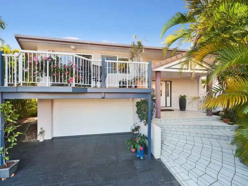 Main view of Homely house listing, 19 Jingellic Drive, Buderim QLD 4556
