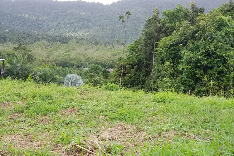 Main view of Homely land listing, 39 Kingfisher Terrace, Jubilee Pocket QLD 4802