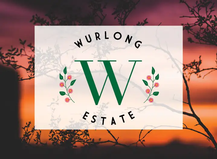 Second view of Homely land listing, LOT 11 Wurlong Drive, Gol Gol NSW 2738