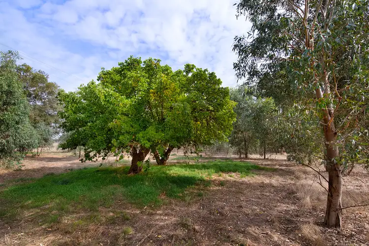 Third view of Homely land listing, LOT 2, 3 & 4, 8 Creswick-Newstead Road, Newstead VIC 3462