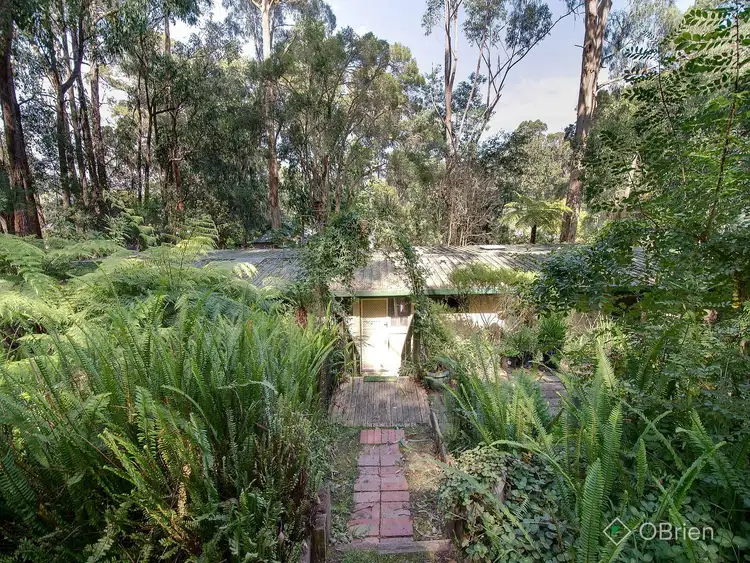 Fifth view of Homely house listing, 19 Blackwood Street, Tecoma VIC 3160