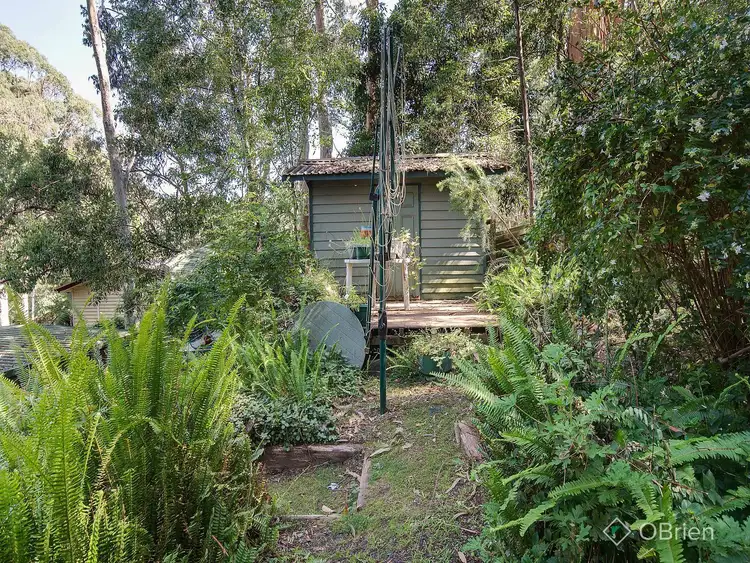 Sixth view of Homely house listing, 19 Blackwood Street, Tecoma VIC 3160