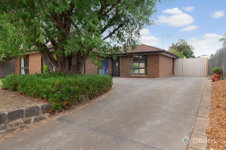 Main view of Homely house listing, 12 Satu Crescent, Tyabb VIC 3913