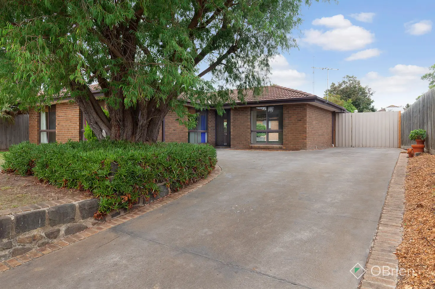 Main view of Homely house listing, 12 Satu Crescent, Tyabb VIC 3913