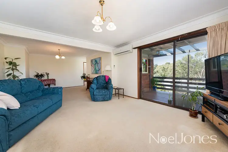Fourth view of Homely house listing, 13 Landau Drive, Warranwood VIC 3134