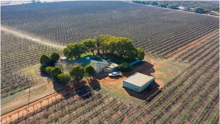 Main view of Homely rural property listing, 110 Swamp Road, Red Cliffs VIC 3496