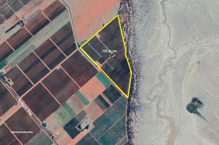 Second view of Homely rural property listing, 110 Swamp Road, Red Cliffs VIC 3496